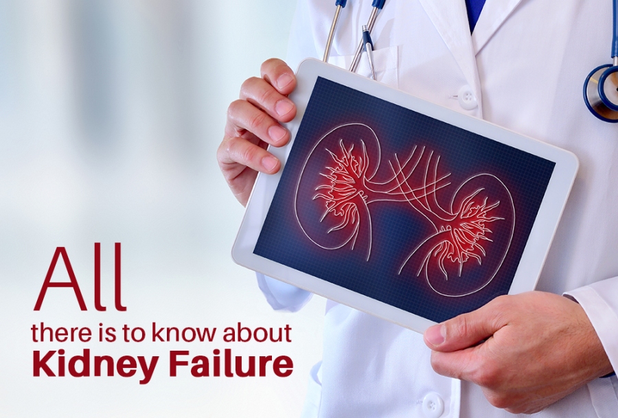 All there is to know about Kidney Failure